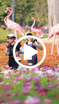 BIB:  <button type="button" onclick="openModal(27588529)" class="btn btn-primary btn-sm float-right" data-toggle="modal" data-target=".modal-high-quality">
                <i class="fa fa-download"></i> Download
                </button>